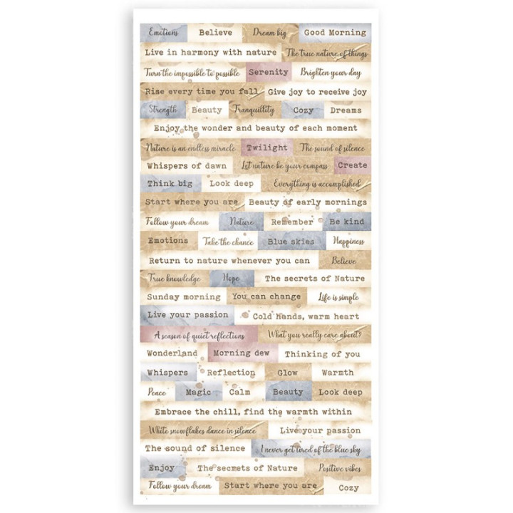 copy of 